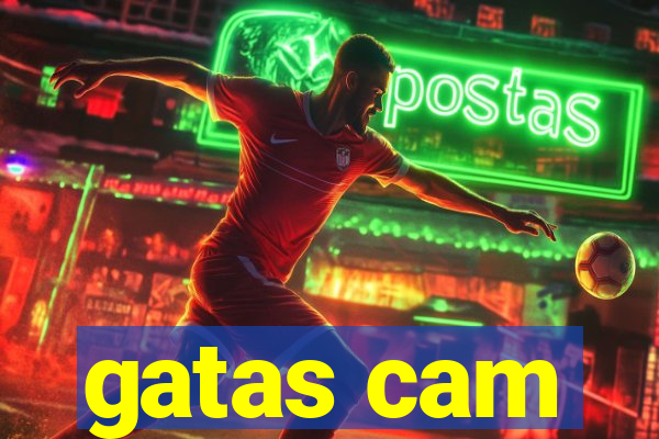 gatas cam